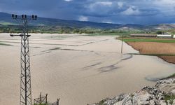 Erzincan'da etkili olan sağanak tarım arazilerinin su altında kalmasına yol açtı