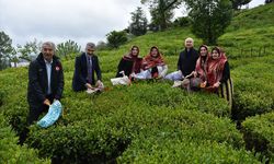 Trabzon'da çay hasat töreni düzenlendi