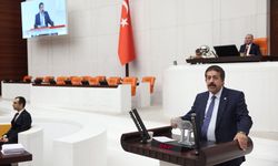 AK Partili Fırat’tan sokak köpekleri için “Erzurum Modeli” çağrısı