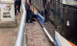 Tramvay seferi durdu, yavru kedi için seferber oldular