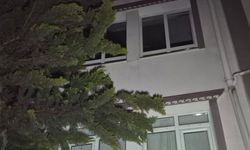 Ankara'da gece yarısı paniği: Yanan ağaç, evi kül etti