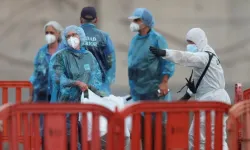 ABD ve Fransa'da hantavirüs alarmı: Testleri pozitif çıktı