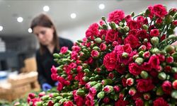 Anneler Günü ekonomiyi hareketlendirecek: 100 milyar liralık katkı bekleniyor