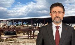 Bakan Yumaklı duyurdu: Elde kalan kurbanlıkları ESK alacak