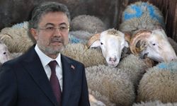 Bakan Yumaklı'dan net açıklama: Yapay et Türkiye’ye giremez