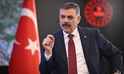 Sokak hayvanlarıyla mücadelede yeni dönem