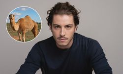 Boran Kuzum'dan deve yanıtı: "Evet benim de var"
