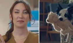 Bosch Home Türkiye'nin Anneler Günü reklamına tepki yağıyor! Hedefte nesil var