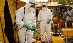 Küresel tehdit kapıda: ABD'den Ebola virüsü uyarısı!