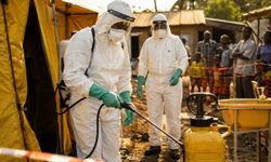 DSÖ: Ebola aşısı en erken 9 ay içinde hazır olabilir