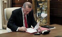 Sermaye Piyasası Kurulu ile TÜİK'e atama