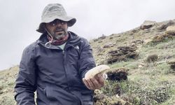 Fiyatı altınla yarışıyor! Yüksek rakımda yetişen mantarın kilosu 2 bin lira