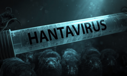 Hantavirüs insandan insana geçer mi? Hantavirüs belirtileri nelerdir, tedavisi var mı? Hantavirüs'ten korunma yolları nedir?