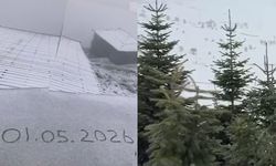 Bolu ve Düzce'nin yüksek kesimlerinde 1 Mayıs sürprizi