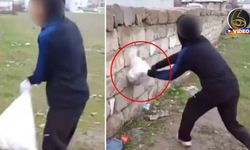 Kediyi çuvala koyup duvara vurarak öldürdüler! Vahşetin adresi Van