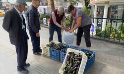 Antalya'da ürettiği patlıcanlar maliyetini kurtarmayınca vatandaşa ücretsiz dağıttı