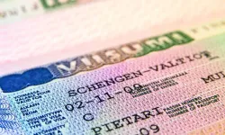 Avrupa’da 'Askeri Schengen' dönemi: Sınırlar NATO için tamamen açılıyor
