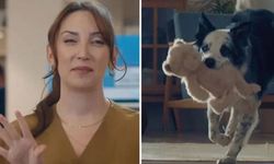 Tepkiler çığ gibi büyüdü: Bosch Anneler Günü reklamını yayından kaldırdı