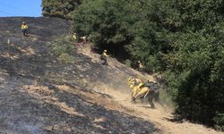 California'da 14 bin 600 dönümden fazla alan yandı