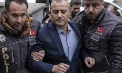 Gülistan Doku soruşturmasında yeni gelişme: Eski vali Sonel, SIM kartı verdiğini itiraf etti