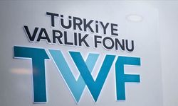 Türkiye Sigorta'nın yüzde 5'i yabancılara satıldı