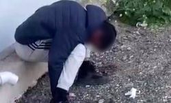 Hatay'da uyuşturucu kullanan genç zombiye döndü! Zehir tacirleri yakalandı