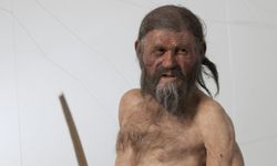 5.300 yıllık mumyada maya keşfedildi!