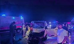 Bingöl’de panelvan yola çıkan ata çarptı: 1 ölü, 2 yaralı