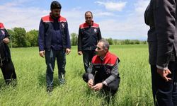 Akyaka’da dolu sonrası hasar tespit çalışmaları