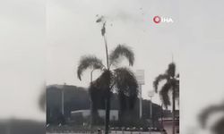 Brezilya'da iki helikopter havada çarpıştı: 6 ölü