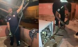 Hatay Dörtyol'da bir evin bulaşık makinesine giren 2 metrelik karayılanı itfaiye ekipleri çıkardı
