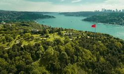 İstanbul Valiliği açıkladı: Ormanlık alanlara giriş yasaklandı