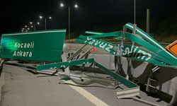 Kamyonun açılan damperi tabelaya çarptı