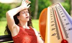 Meteoroloji'den son dakika! Mevsim normallerinin üzerinde sıcaklıklar geliyor