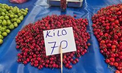 Rekolte arttı kirazın fiyatı yarı fiyatına düştü!