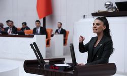 Özcan, Türker'in iddialarını Meclis'e taşıdı