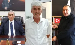 Sokak köpekleri saldırıları sonrası belediyelere soruşturma