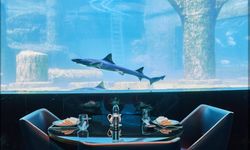 Tersane İstanbul'un yeni gastronomi noktası: Nemo