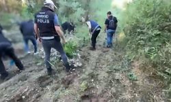 UNESCO listesinde yer alan Diyarbakır Hevsel Bahçeleri'nde çok sayıda yasaklı madde ele geçirildi