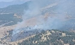 Kahramanmaraş'ta Orman yangını kısa sürede kontrol altına alındı