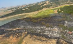 Tekirdağ'da çıkan orman yangını söndürüldü