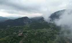 Amasya'da ormanlık alanlara girişler yasaklandı