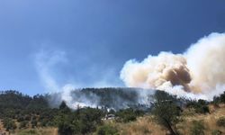Balıkesir Kepsut'ta orman yangını! Havadan müdahale başladı