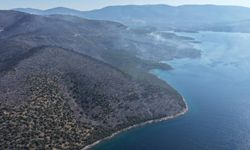 Cennet koylar küle döndü! Milas'ta alevler denize kadar ulaştı