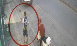 Kediye tekme atan şahıs kamerada