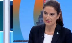 AHBAP Derneği soruşturmasında danışman Avukat Ece Güner hakkında gözaltı kararı