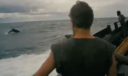 Christopher Nolan'ın "The Odyssey" filmindeki yunuslar gerçek mi?
