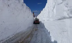 Yüksekova'da yaz ortasında kar mesaisi