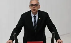 CHP'li Pala: Sezaryen oranlarının sorumlusu sadece doktorlar değil