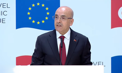 Şimşek: 'Tek euro ödeme alanı' için başvurduk